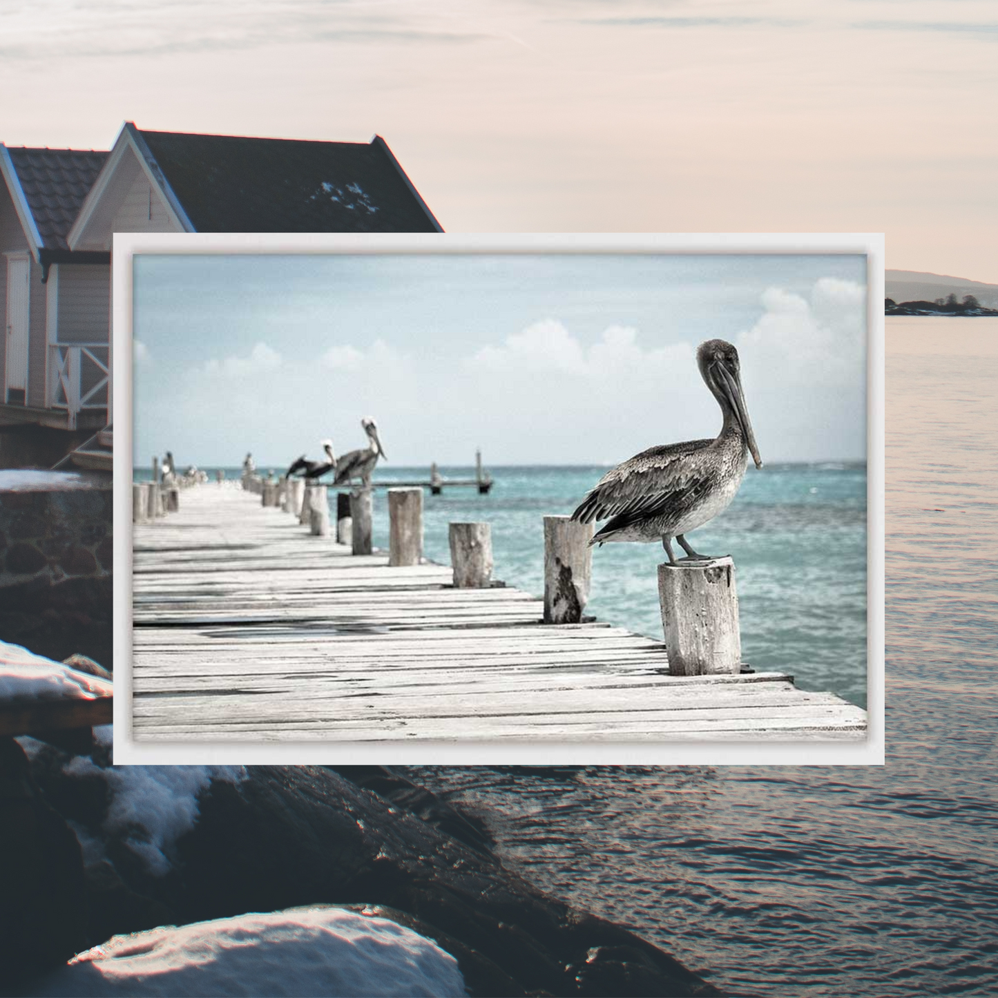 Pelicans