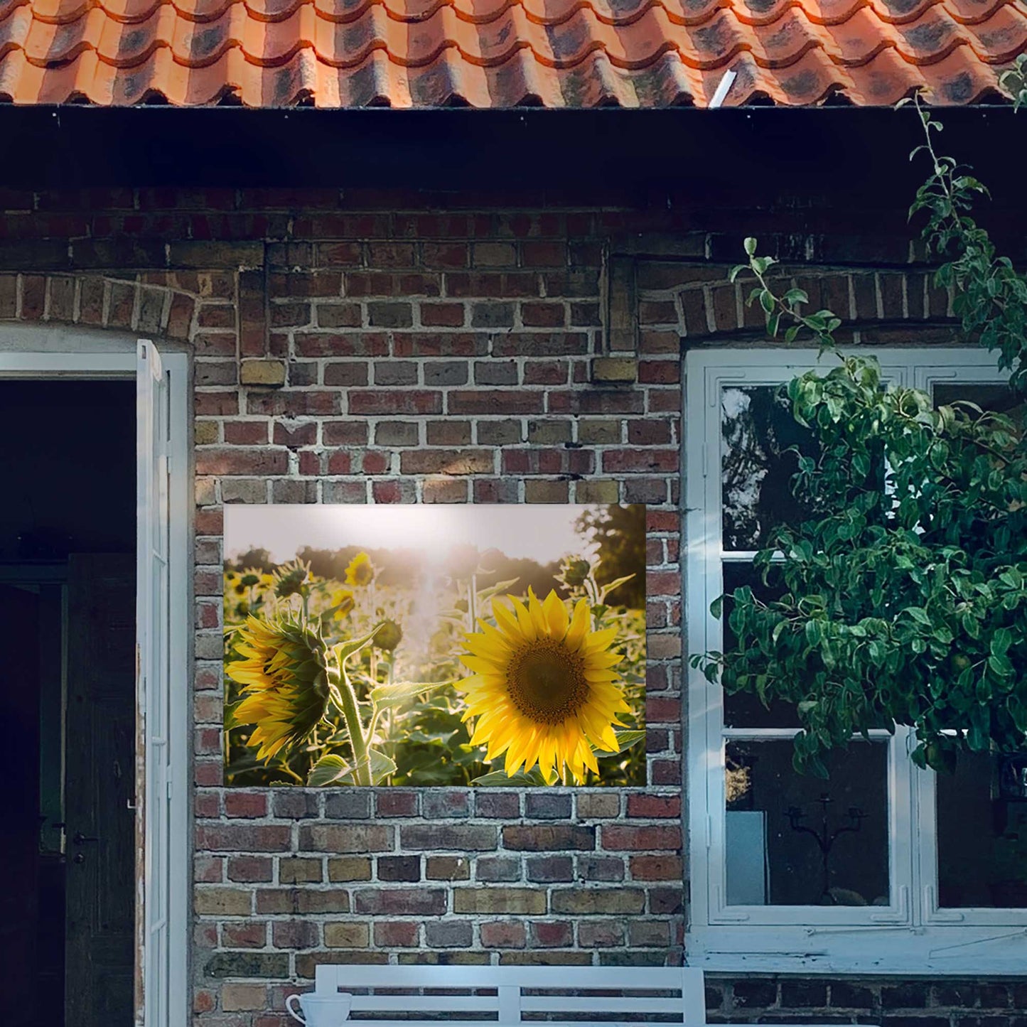 Sunflowers