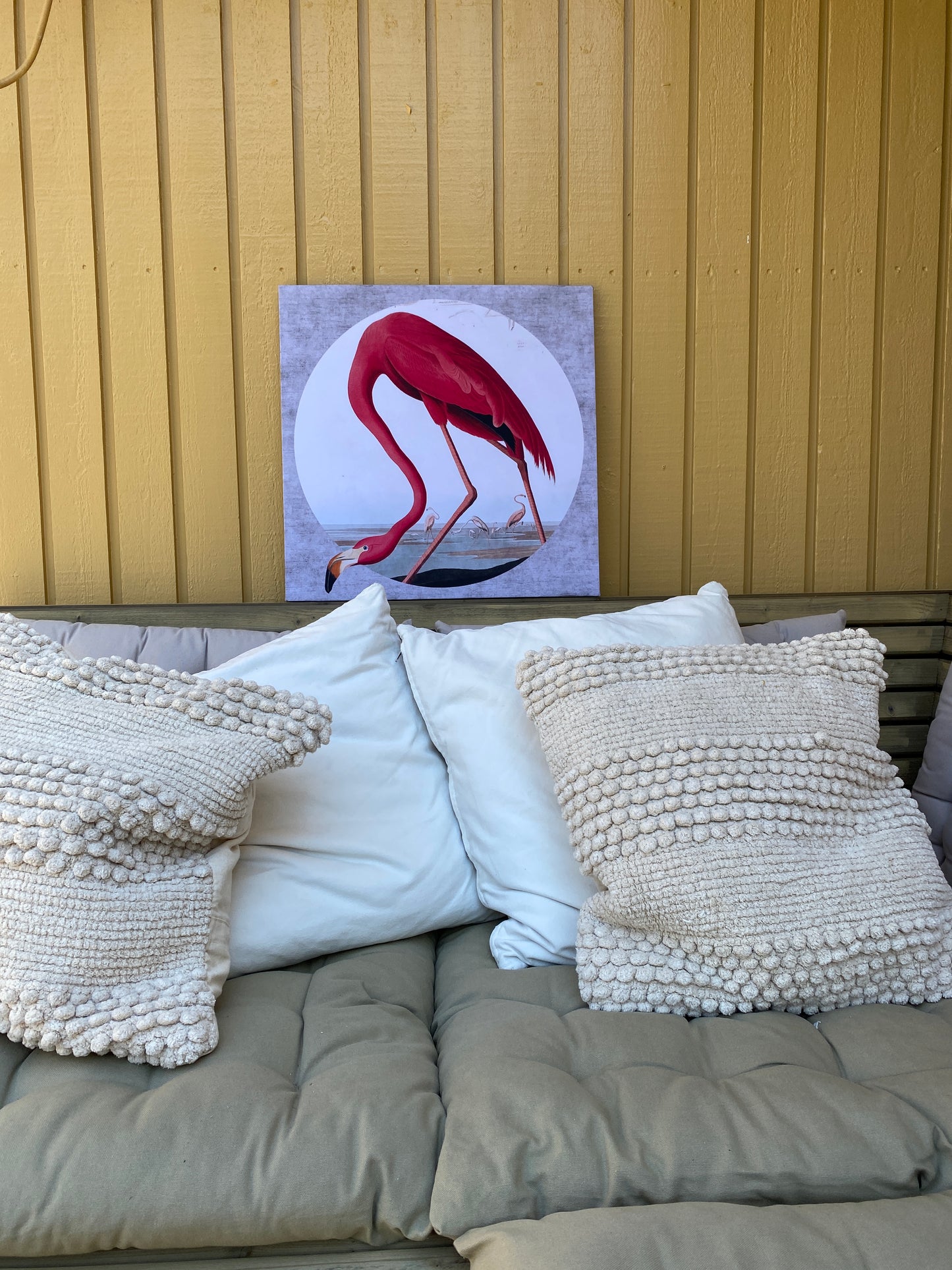 Pink Flamingo