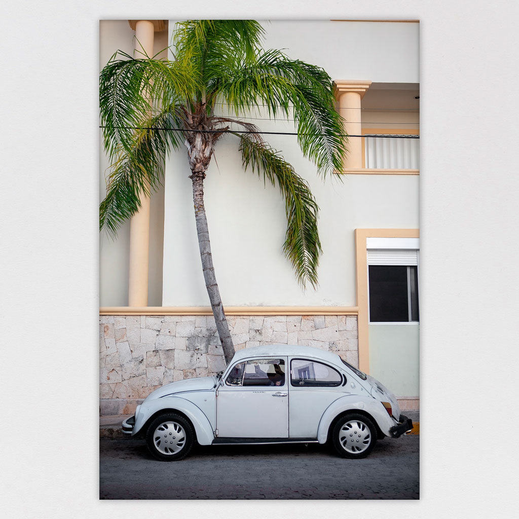 White Volkswagen