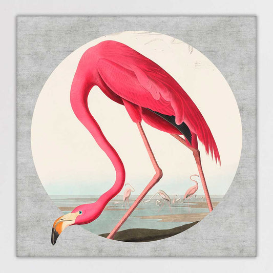 Pink Flamingo